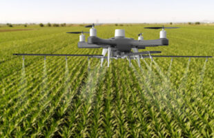 smart agriculture