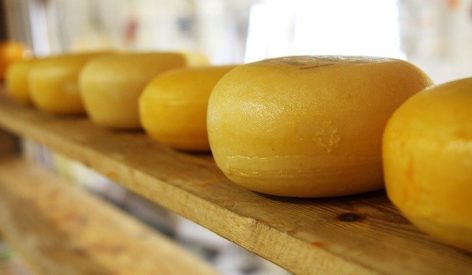 Project to turn whey into coatings that extend cheese shelf life by 25%-50% and to provide probiotic ingredients for animal feed