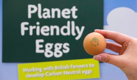 carbon-neutral eggs