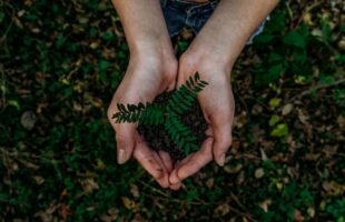 Corporate sustainability report