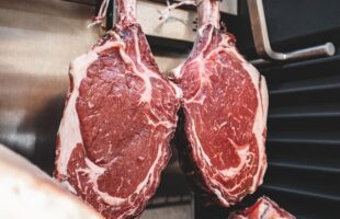 precision fermentation