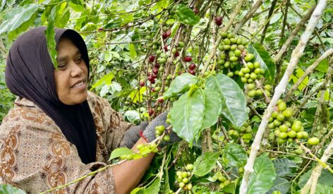 ofi raises sustainability ambition for coffee business