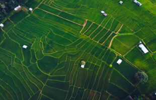 Seviora T3F Strategy