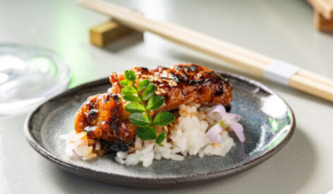 cell-cultivated eel unagi