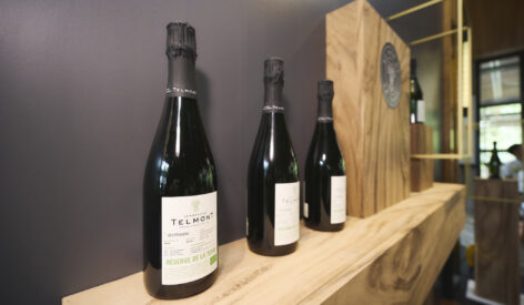 Telmont reveals the future of Champagne with milestone Réserve de la Terre: radiant, luminous, and full of life, crafted from organic grapes without herbicides, pesticides, fungicides, or synthetic fertilizers