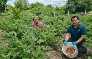 CP Foods transforms eggshells