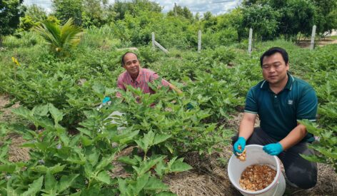 CP Foods transforms eggshells to reduce waste and GHG emissions