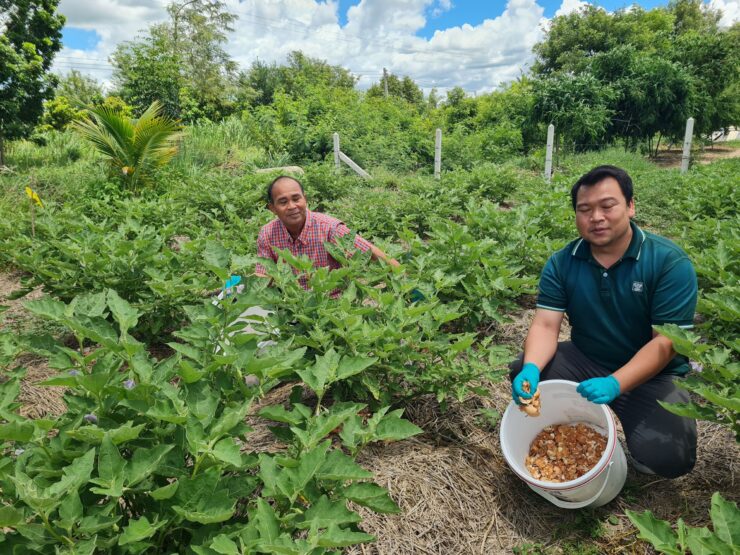 CP Foods transforms eggshells