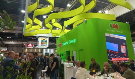 Fruit Attraction, Sorma Group launches important new fruit grading solutions  