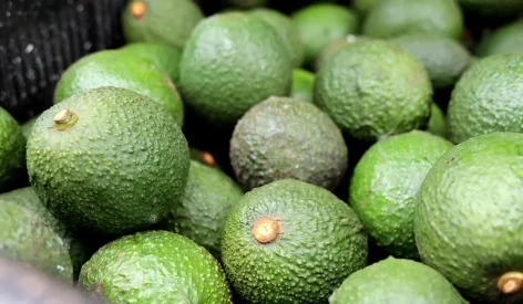 Westfalia Fruit showcased sustainable avocado-based paper and packaging innovation at Fruit Attraction 2024