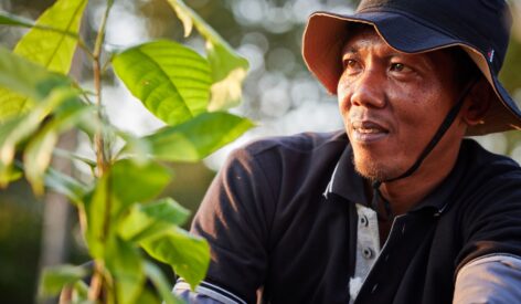 ofi announces first-year milestones in sustainable cocoa and coffee agroforestry (LASCARCOCO) in Indonesia, in partnership with USAID, The Hershey Company and Rikolto