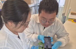 detect dehydration in plants