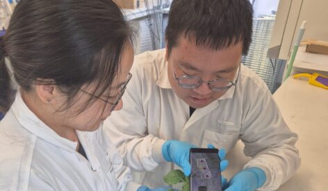 SMART researchers pioneer method to detect dehydration in plants