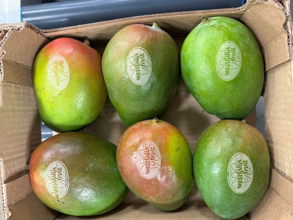 tattooed mangoes