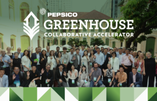 Greenhouse Accelerator Program