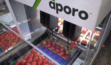 Sorma Group at Fruit Logistica 2025: Innovation and sustainability for the fruit and vegetable sector     