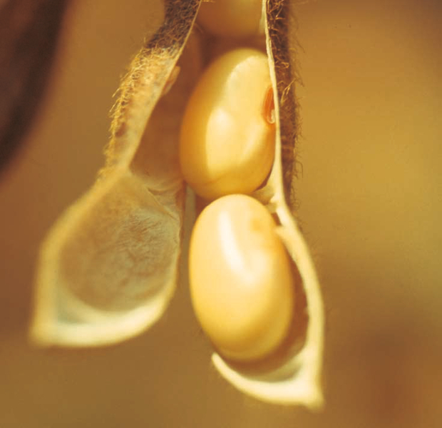ProTerra certification