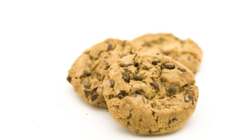 Cargill Indulgence Study