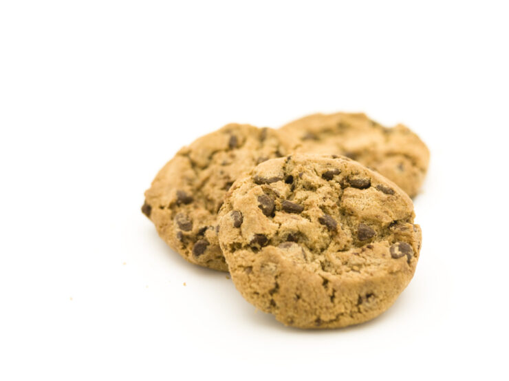 Cargill Indulgence Study