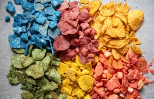 plant-based colors