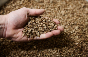 Upcycled Foods Supergrain+