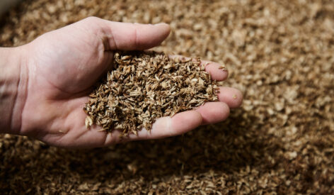 Upcycled Foods Supergrain+