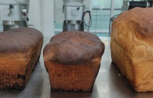 bread with insects