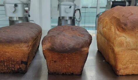 Scientist from Tecnologico de Monterrey creates bread with insects of high nutritional value to fight food crisis