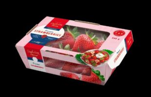 strawberry premium packaging