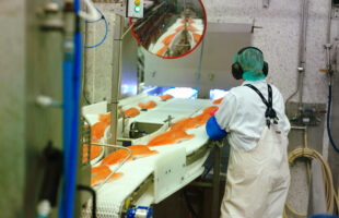 microbial safety