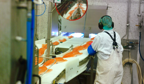 Passing the baton: Safeguarding microbial safety across the food chain 