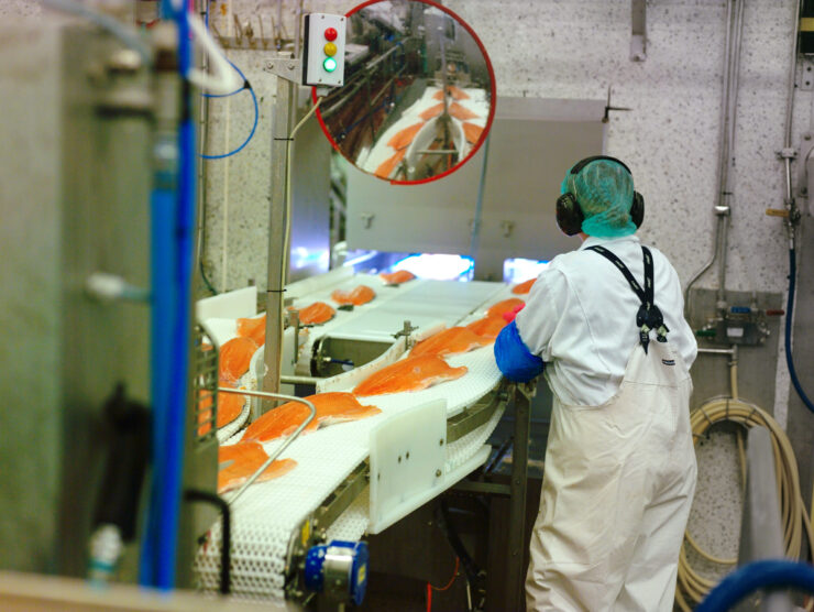 microbial safety