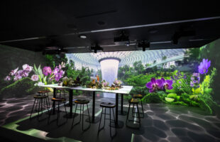 Immersive Experience Hub