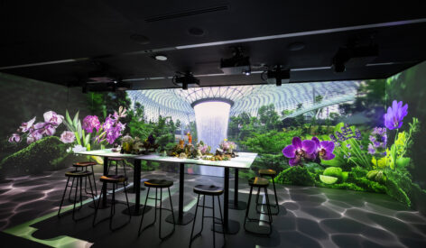 Immersive Experience Hub
