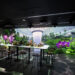 Immersive Experience Hub