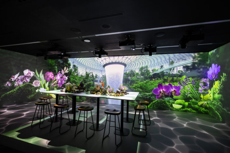 Immersive Experience Hub