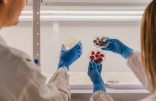cell–based natural preservatives