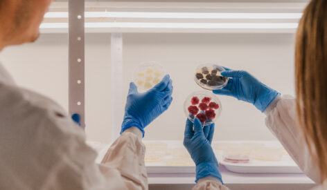 Novella, Metaphor Foods unite to commercialize cell–based natural preservatives