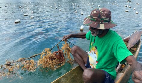 Revitalizing seaweed cultivation across Southeast Asia to empower coastal communities 