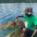 Seaweed farming