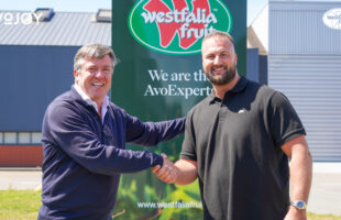 Westfalia Fruit acquires Greenpoint Trading