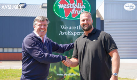 Westfalia Fruit acquires Dutch foodservice specialist Greenpoint Trading B.V.