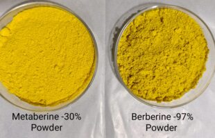 A comparison of Metaberine and Berberine powders