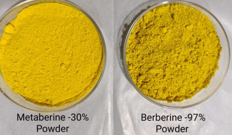 A comparison of Metaberine and Berberine powders