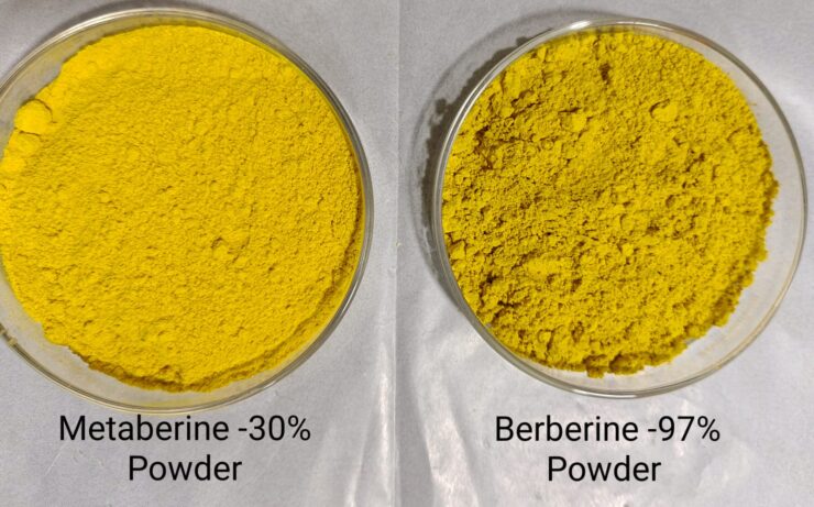 A comparison of Metaberine and Berberine powders