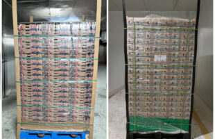 StePacPPC pallet shrouds