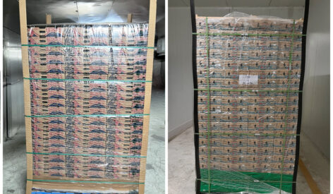 StePacPPC’s pallet-shrouds preserve produce freshness all the way to retail