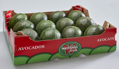 Westfalia Fruit at Asia Fruit Logistica 2025