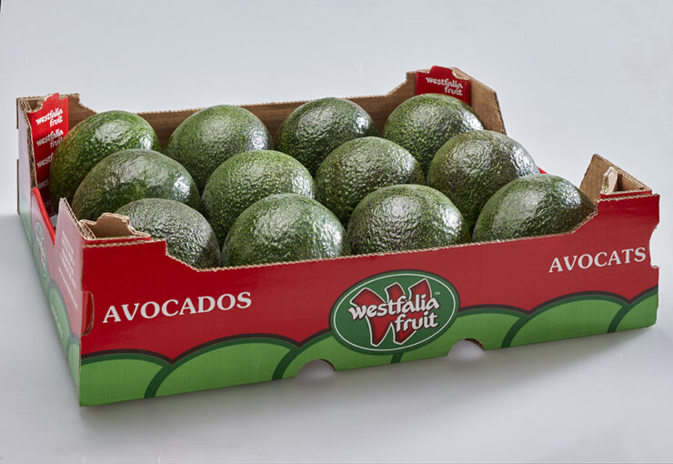 Westfalia Fruit at Asia Fruit Logistica 2025