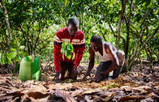 Farmers understanding the fragility of food safety